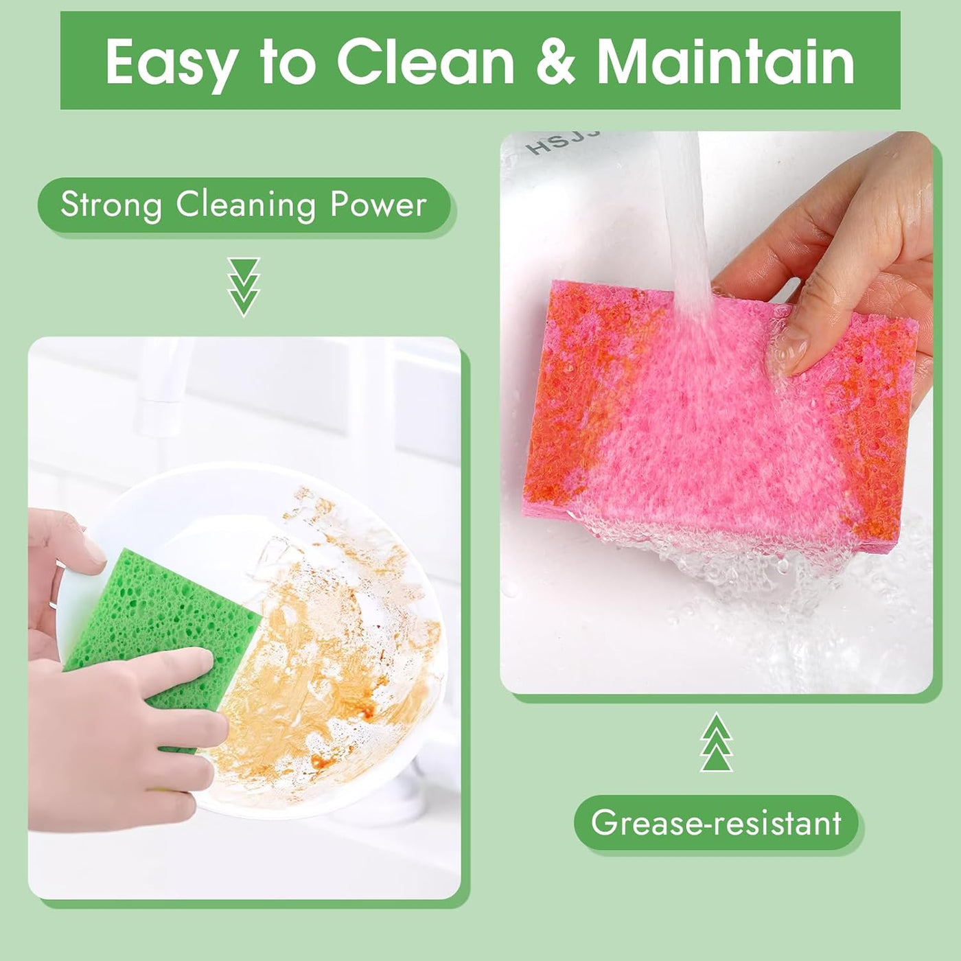 Dish Sponges Kitchen