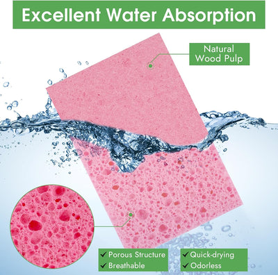 Dish Sponges Kitchen